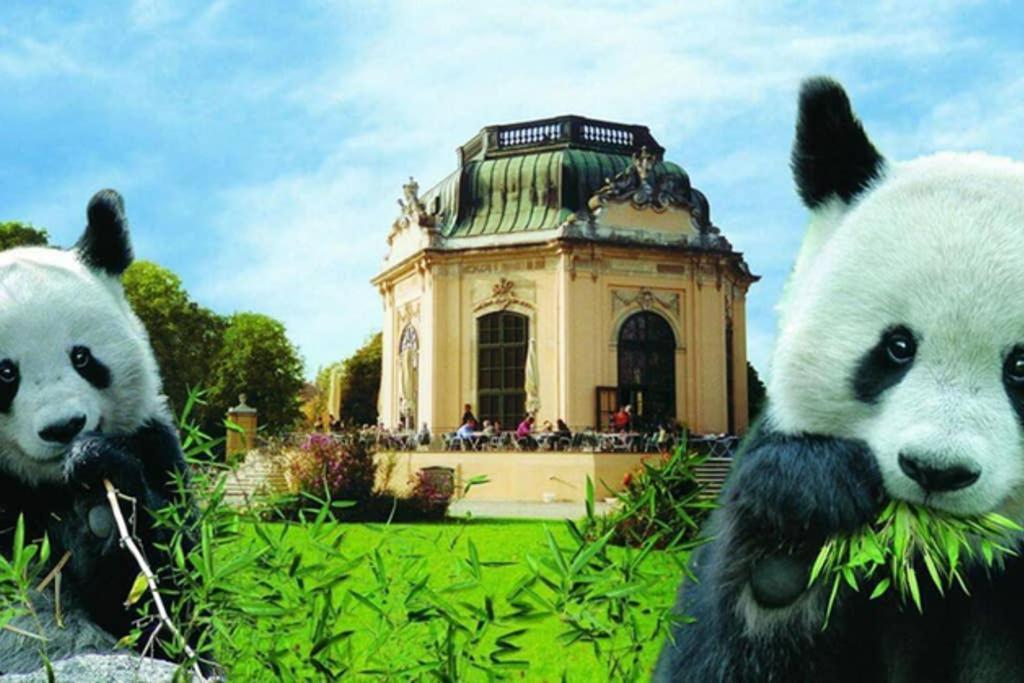 Leben Im Stadtlicht L Lf21 Wien Exteriör bild